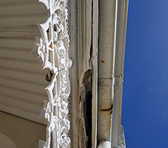Rotten fasia and rusty gutters