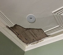 Old lath and plaster ceiling has fallen away from water damage